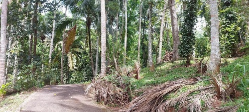 Windy Ridge Kandy image 25