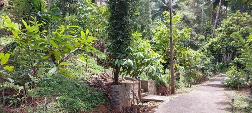 Windy Ridge Kandy image 27