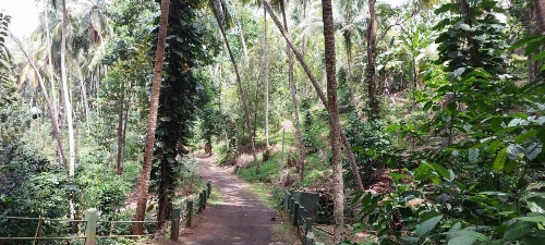 Windy Ridge Kandy image 28