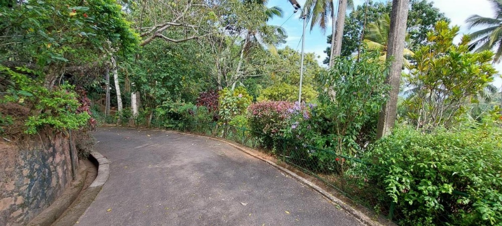 Windy Ridge Kandy Image 30
