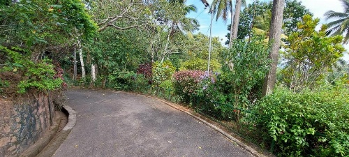 Windy Ridge Kandy image 30