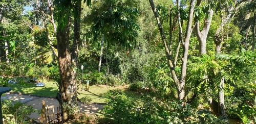 Windy Ridge Kandy image 31