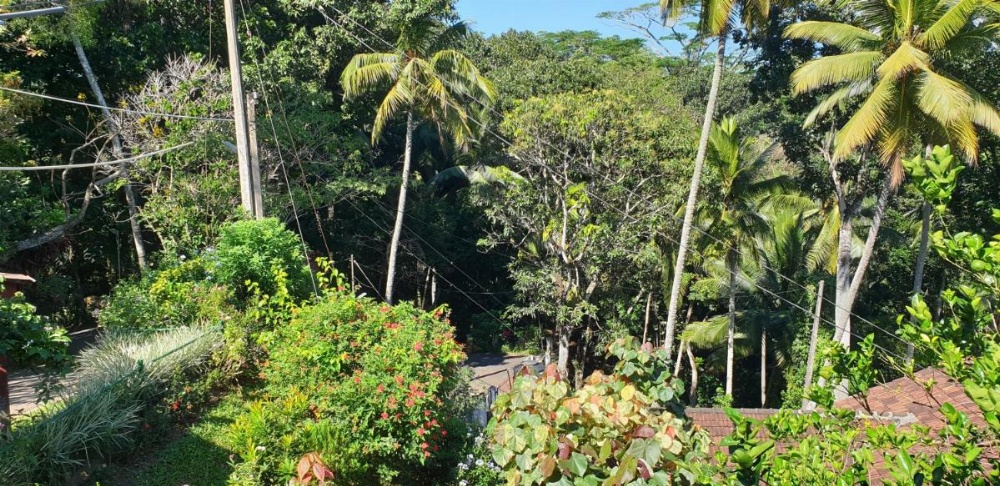 Windy Ridge Kandy Image 32