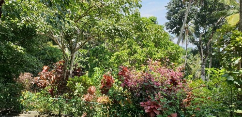Windy Ridge Kandy image 33