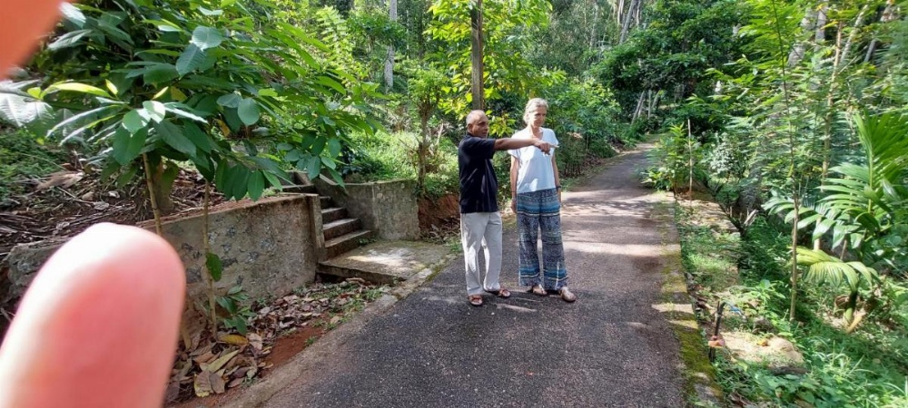 Windy Ridge Kandy Image 34
