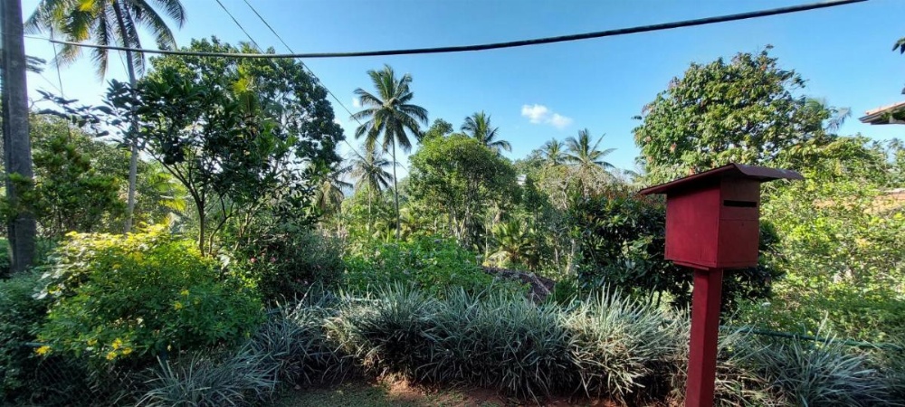 Windy Ridge Kandy Image 35