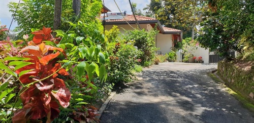 Windy Ridge Kandy image 36