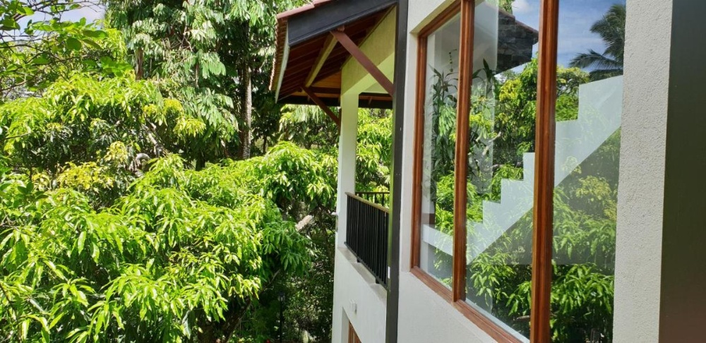 Windy Ridge Kandy